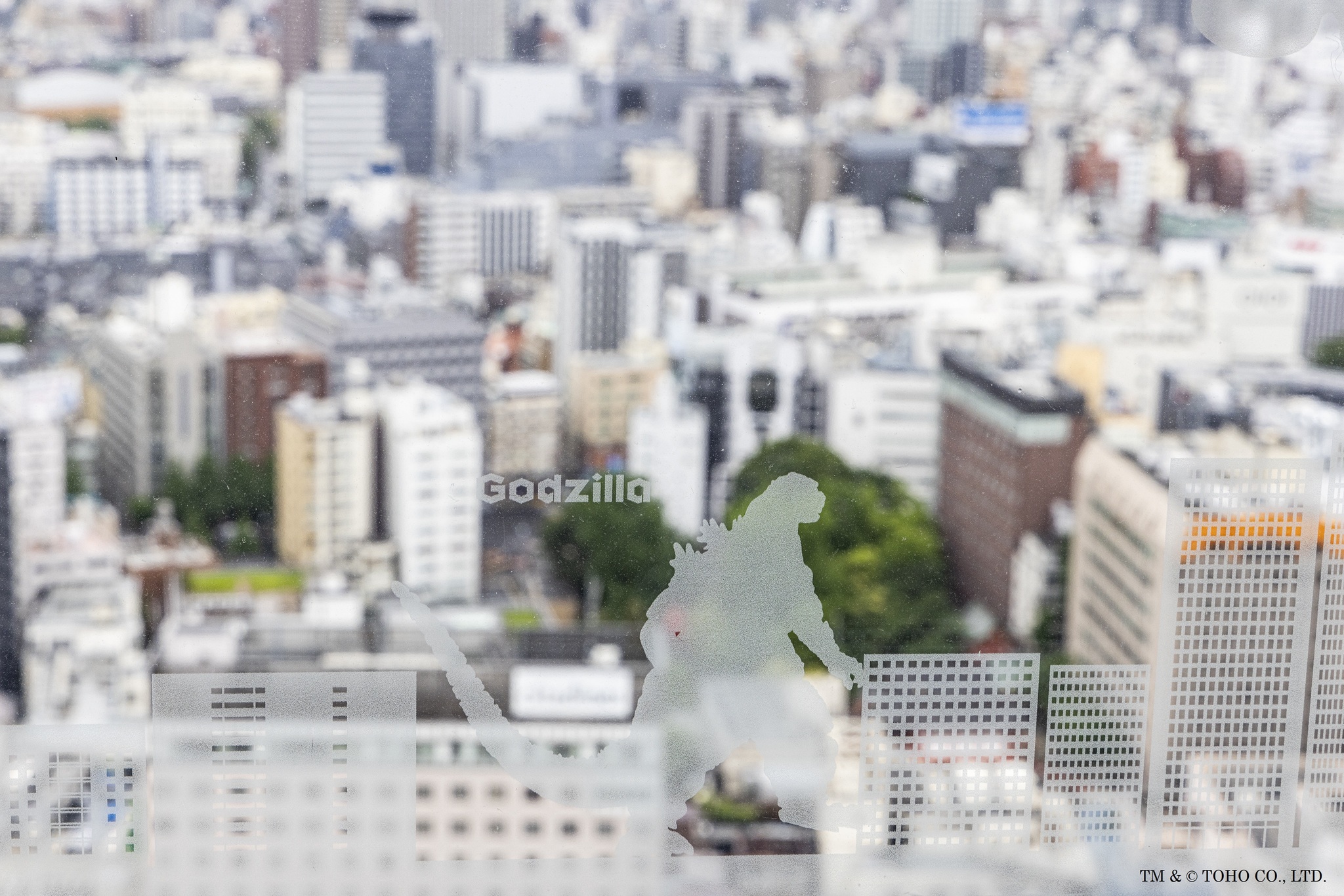 ゴジラルーム06